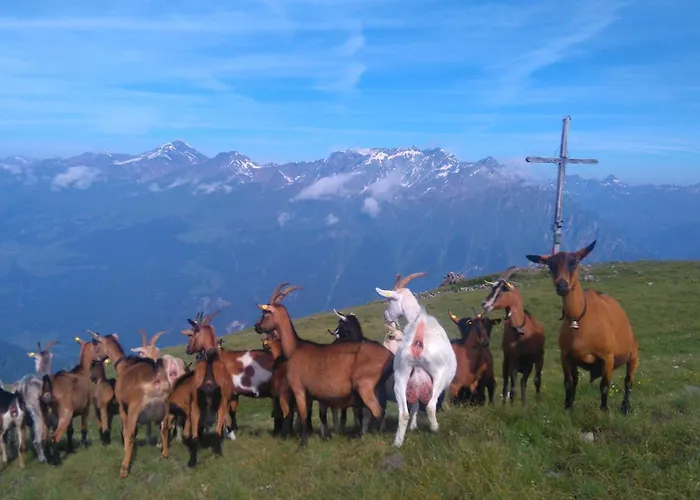 公寓 Abendruhe 瑙德斯